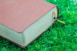 Image courtesy of nipitphand at FreeDigitalPhotos.net