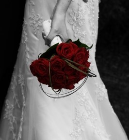 Book Review: The&nbsp;One