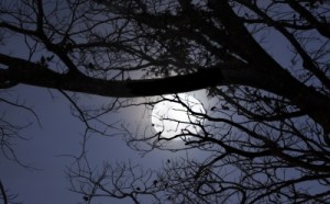 Image courtesy of Gualberto107 at FreeDigitalPhotos.net