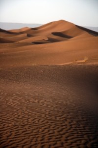 Image courtesy of James Barker at FreeDigitalPhotos.net