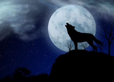 moon and wolf