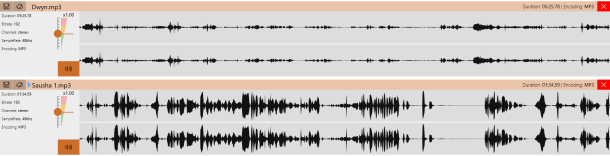 Dwyn vs Sausha screenshot