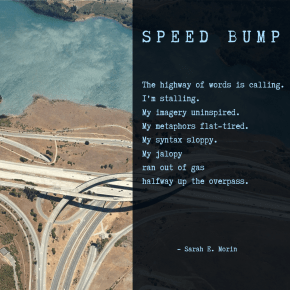 Speed Bump
