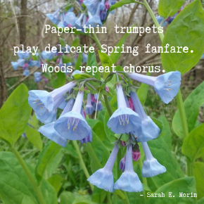 Spring Fanfare