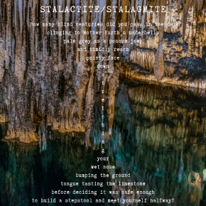 Stalactite/Stalagmite