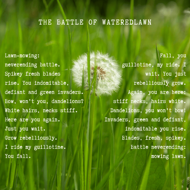 Battle of Wateredlawn