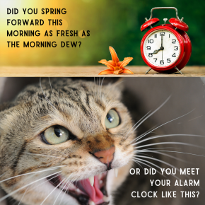 Daylight Savings Collaborative&nbsp;Poems